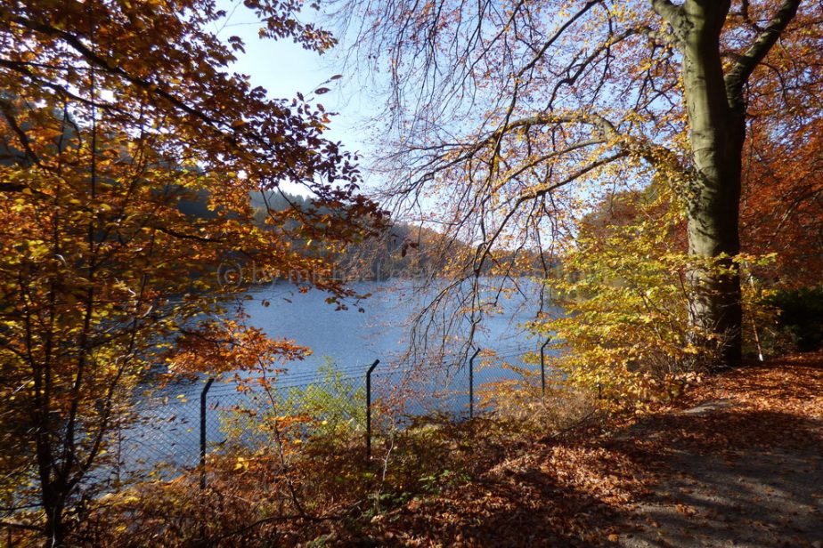 Herbst an der Eschbachtalsperre am Rasthof Remscheid